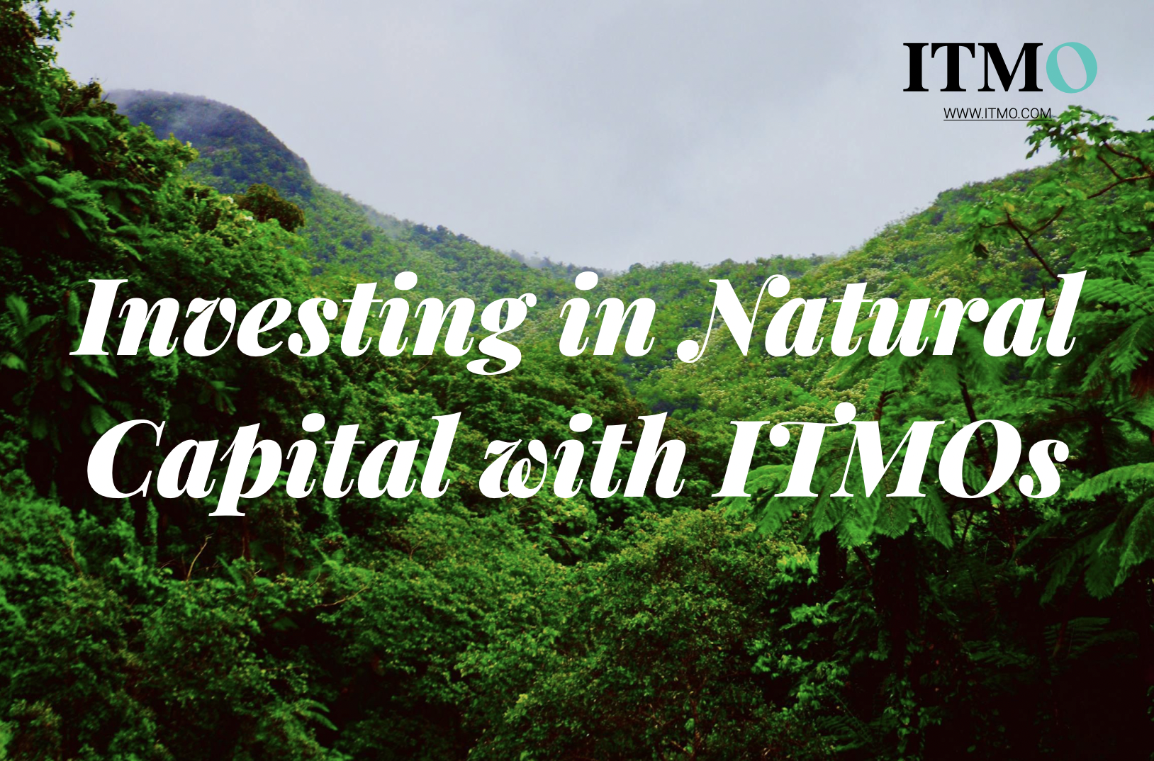 Investing in Natural Capital with ITMOs