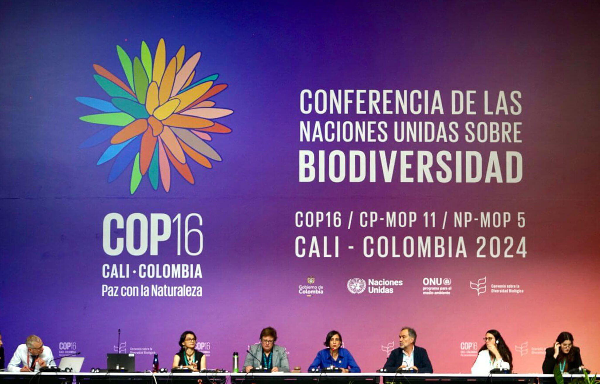 COP16 Biodiversity ITMO